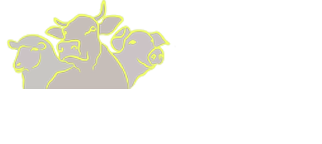 Címlap